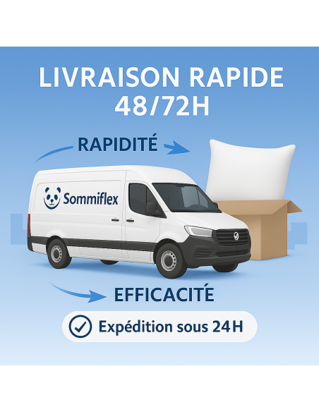 OREILLER 60x60 CONFORT en LATEX NATUREL SOUPLE et MOELLEUX  OREILLER en MOUSSE de LATEX  GARANTIE à VIE
