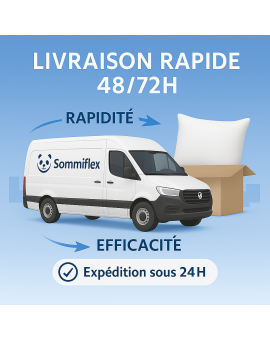 Lot de 2 OREILLERS 60x60 en LATEX NATUREL OREILLER CONFORT SOUPLE et MOELLEUX  OREILLER en MOUSSE de LATEX  GARANTIE à VIE