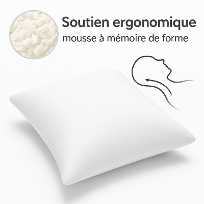 LOT de 2 OREILLERS 60x60 MÉMOIRE de FORME SPÉCIAL CERVICALES GARANTIE à VIE 2