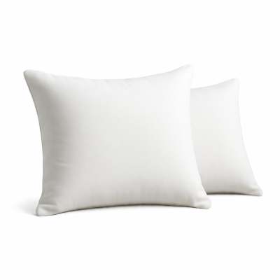 LOT de 2 OREILLERS 60x60 FLOCON MÉMOIRE de FORME SPÉCIAL CERVICALES GARANTIE à VIE 2