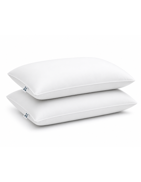LOT de 2 OREILLERS 40x60 FLOCON MÉMOIRE de FORME SPÉCIAL CERVICALES GARANTIE à VIE