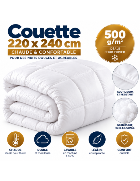 Couette 4 Saisons Très Chaude  Moelleuse et Thermorégulatrice 220x240